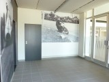 restaurace Paddock